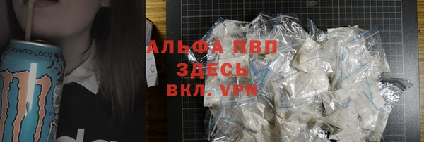 индика Магас