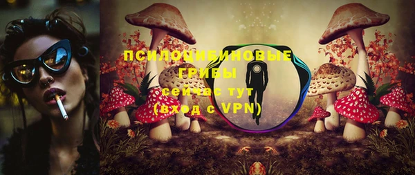 индика Магас