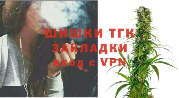 индика Магас